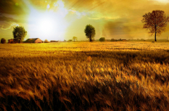 20. Kongres Polskiego Towarzystwa Gastroenterologicznego